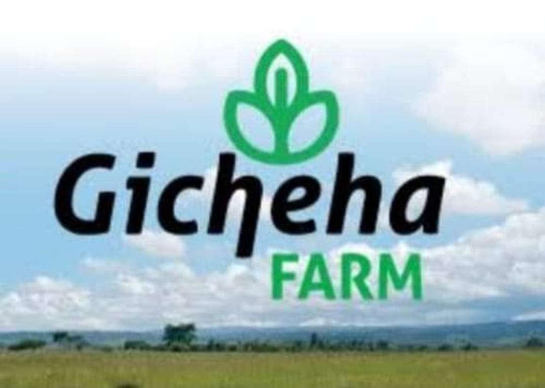 Gicheha Farm Kenya logo